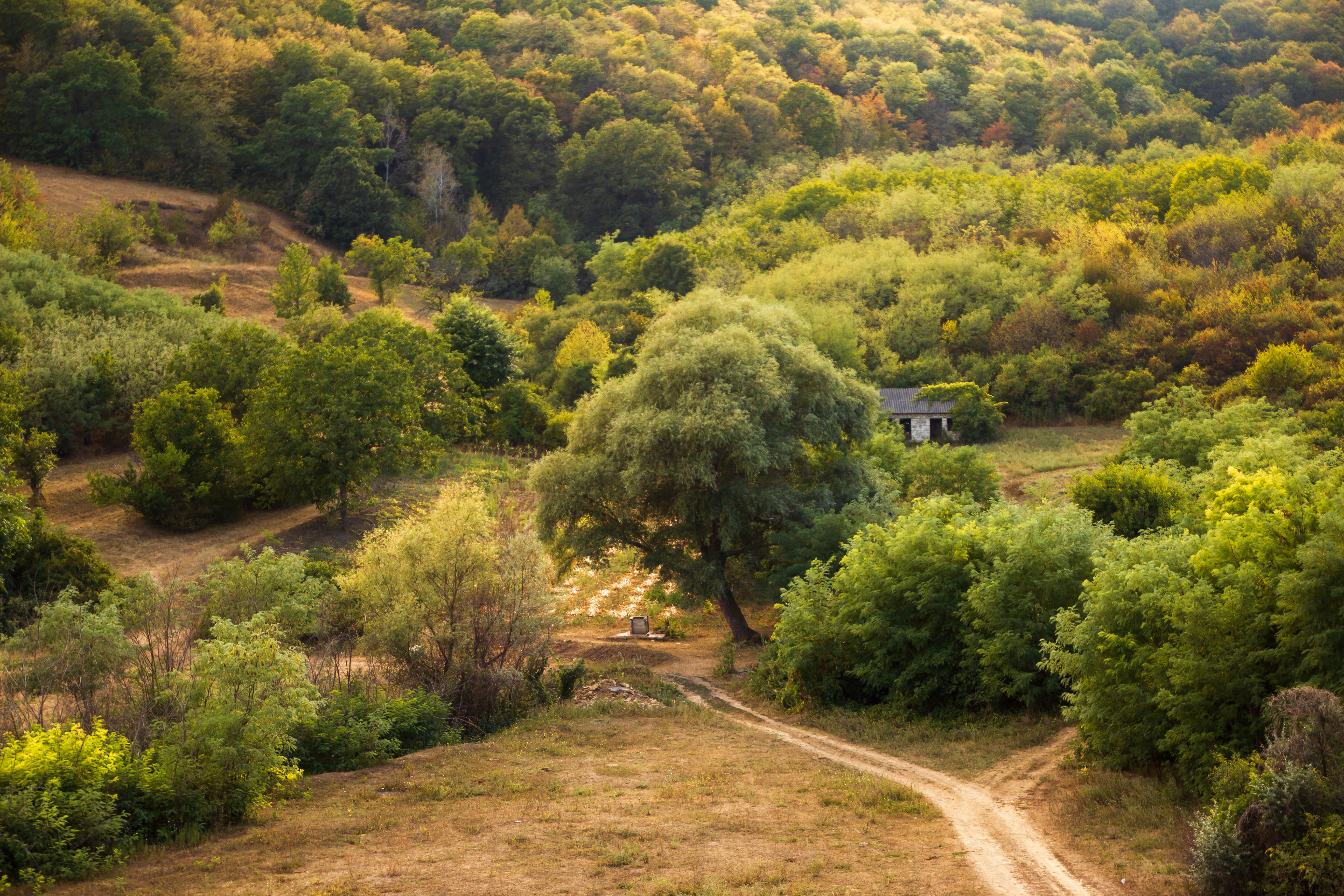 Moldova — image 2