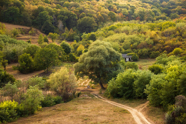 Picturesque scene somewhere in Republic of Moldova (near Cucioaia village, M14 track) Don't forget to credit the author, please :)