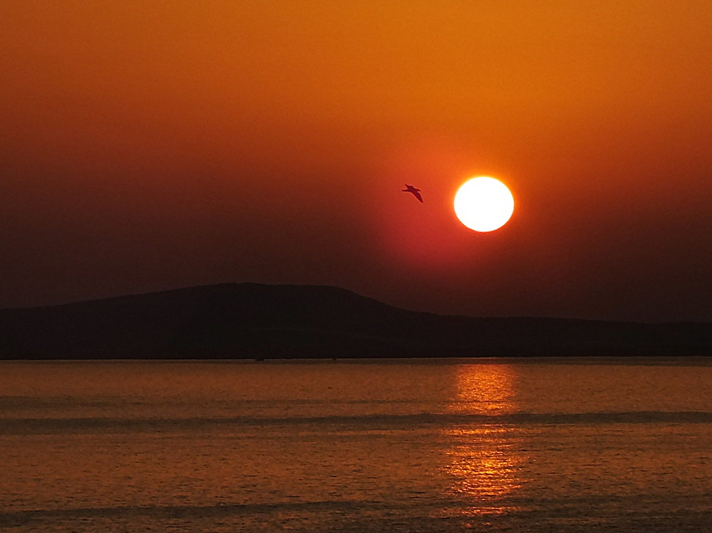 Mallorca — photo 3