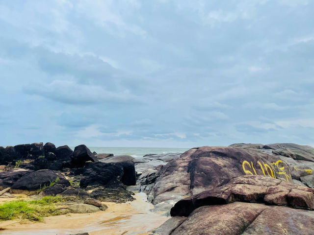 An expansive view of the rocky coastline, where the ocean meets the rugged terrain. The sky is overcast, adding to the tranquil and subdued atmosphere of the scene. The rocks and ocean waves create a