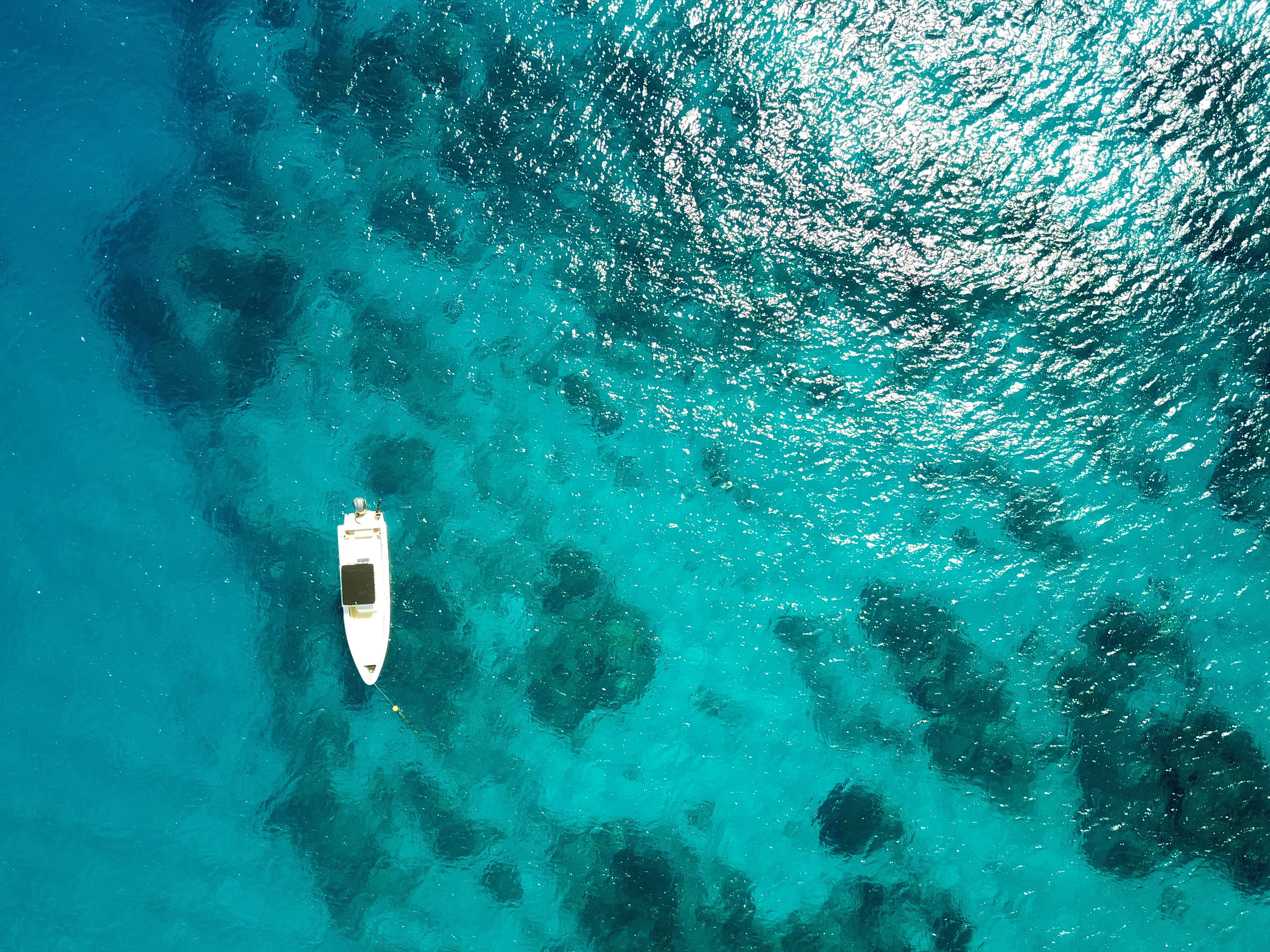 Fiji — image 4