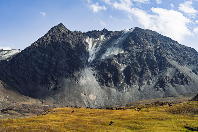 Beautiful mountain view with horses grazing in the Chuy region, Kyrgyzstan.