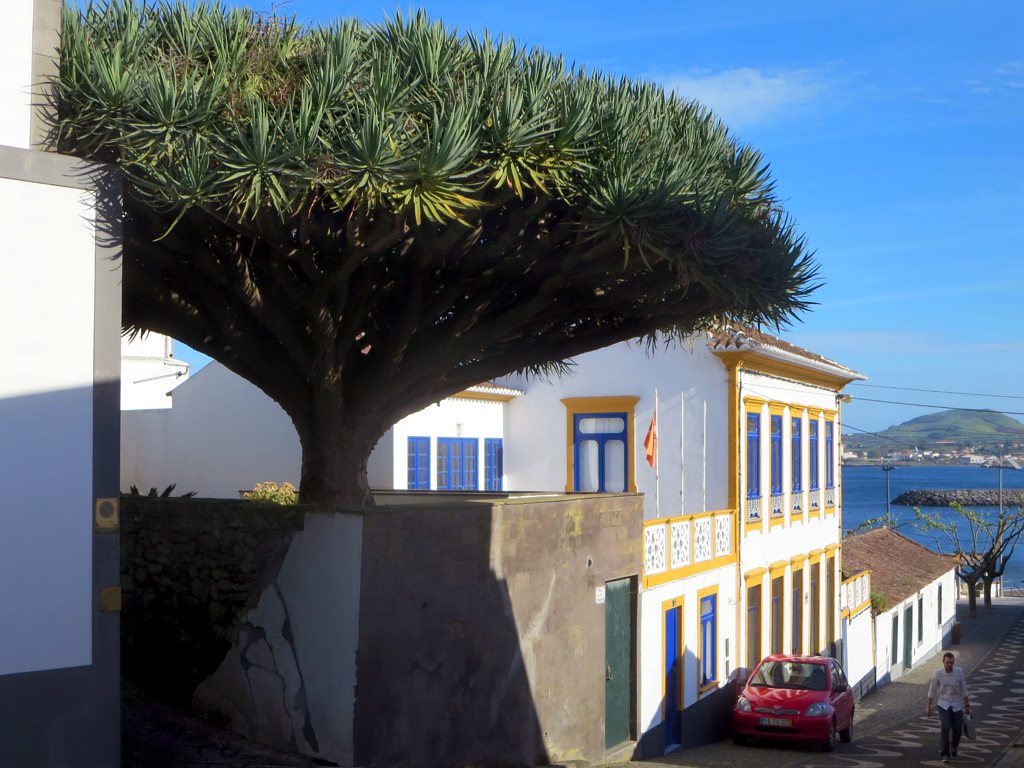 Azores — photo 8