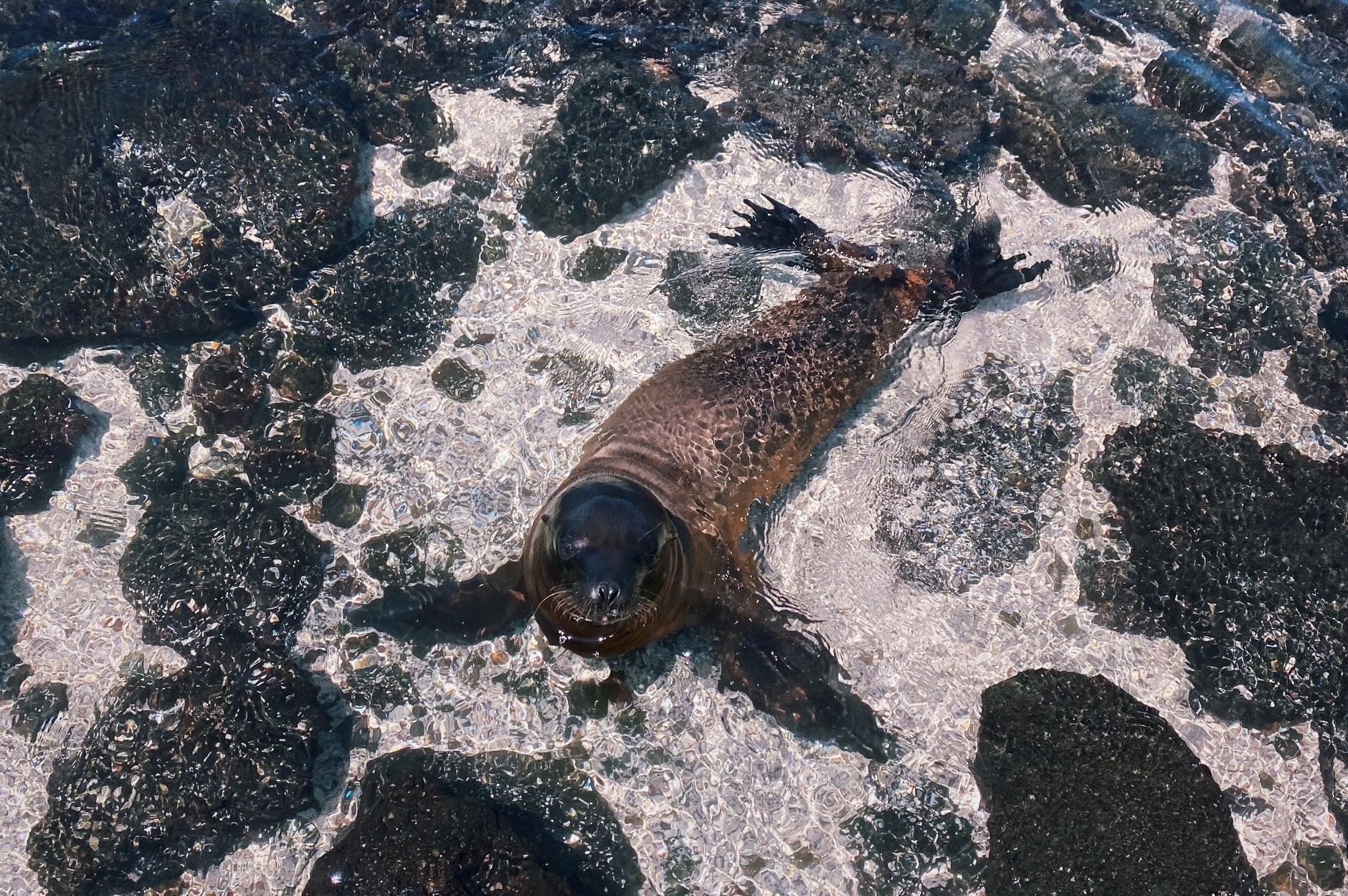 Galápagos Islands, Ecuador