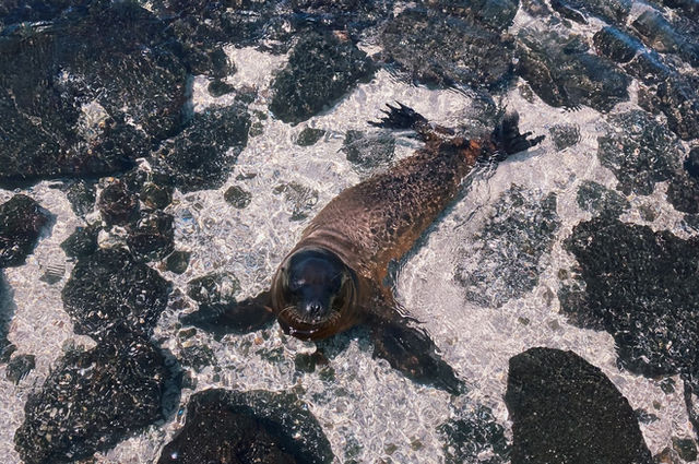 Galápagos Islands, Ecuador