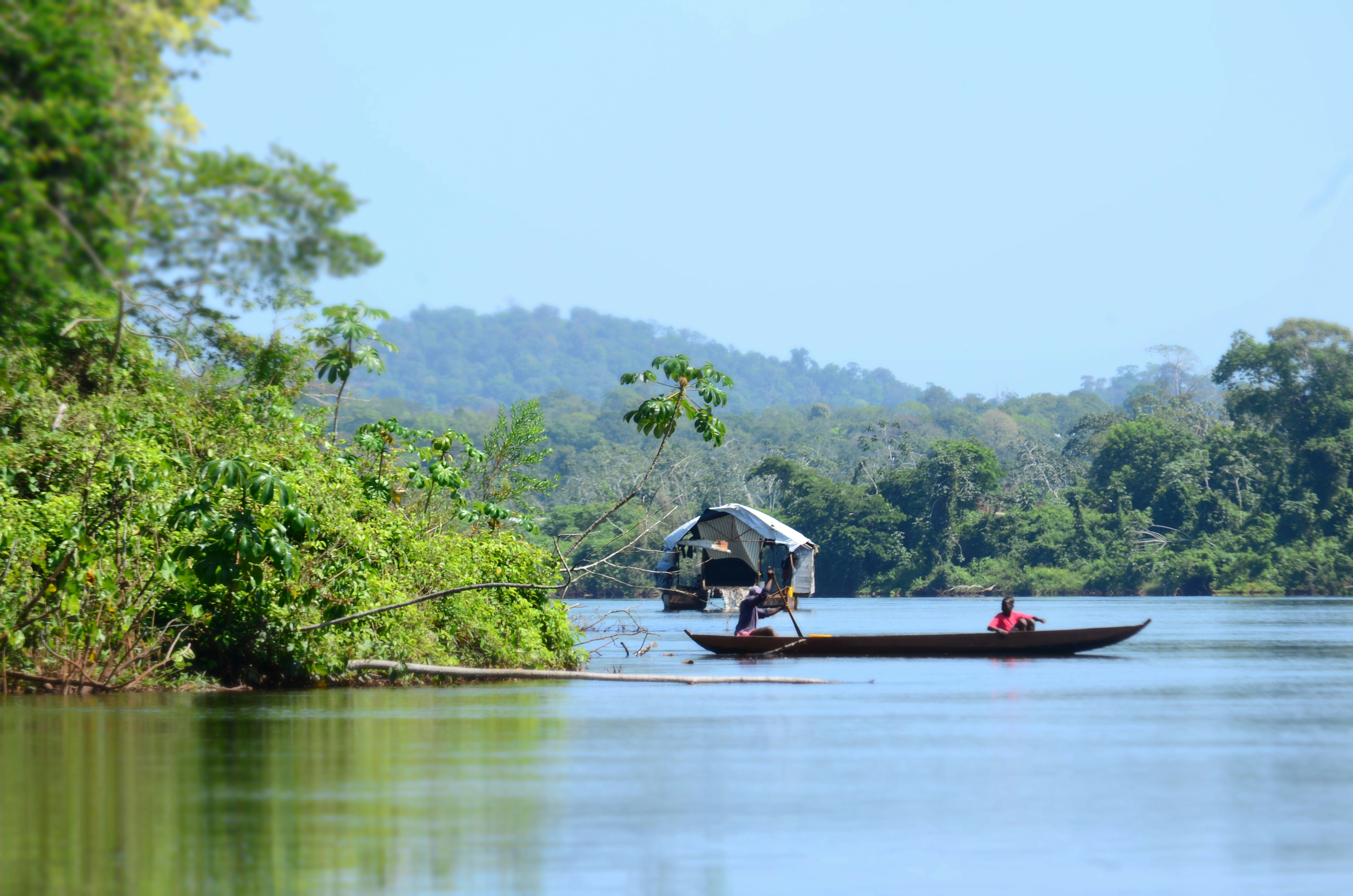 Suriname — image 3