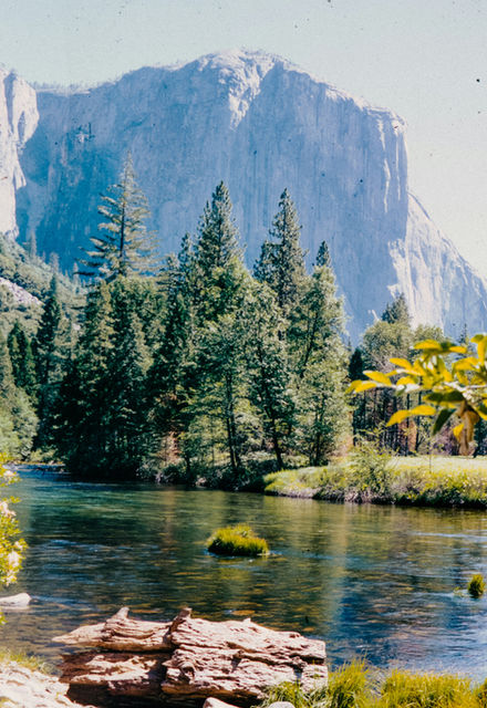 A river surrounded by trees and mountains