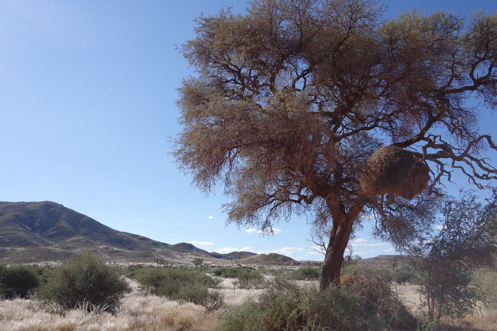 Namibia — hero