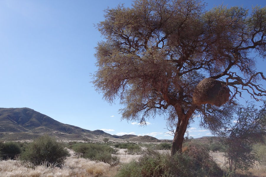 Namibia