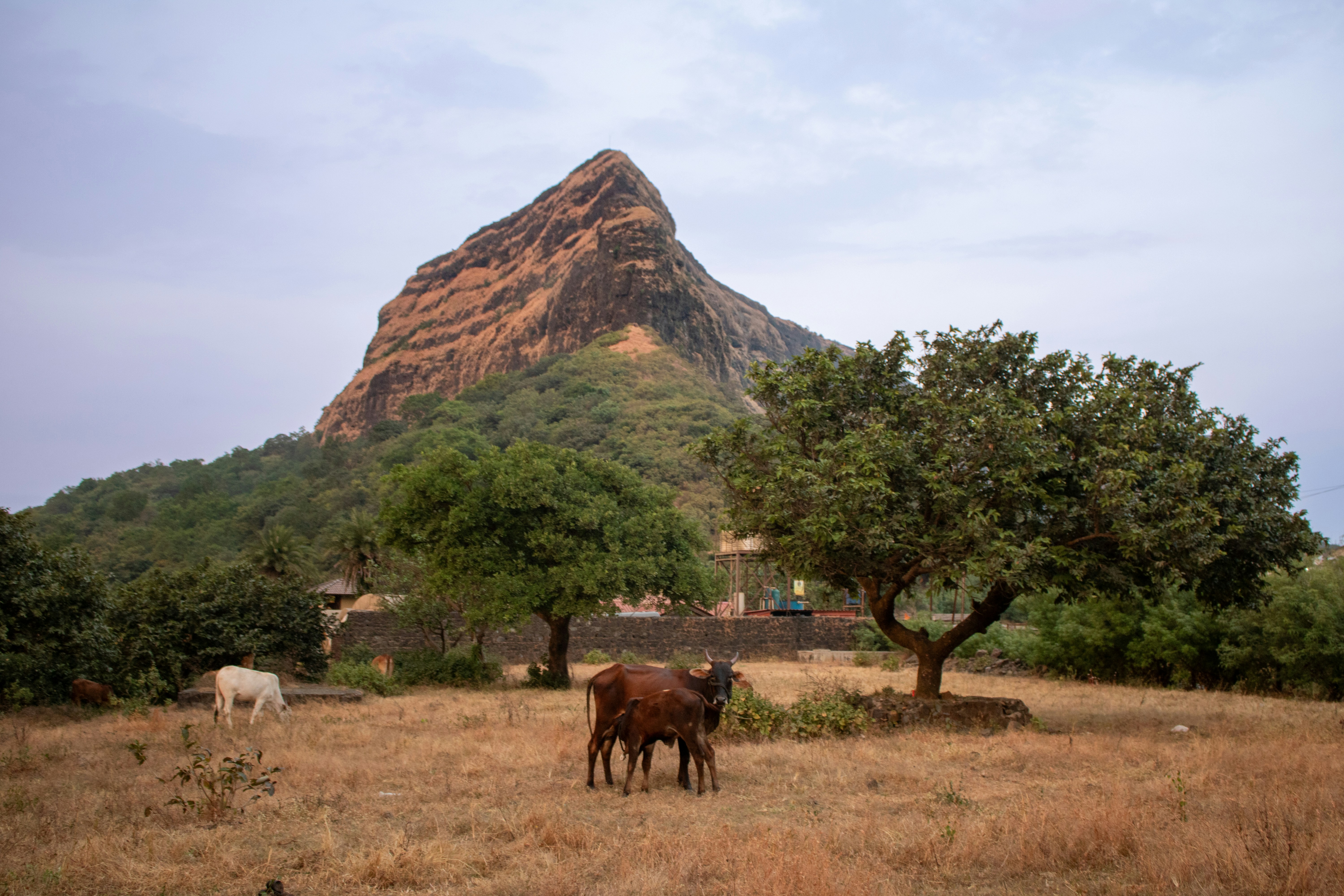 Burkina Faso — image 2