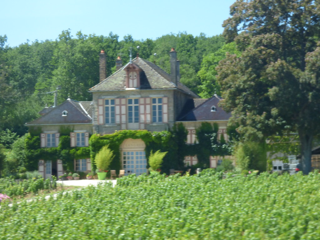 Burgundy — photo 18