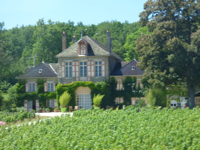 Burgundy — photo 18