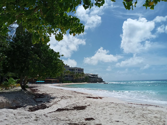 Idyllic beach scene in Bridgetown, Barbados with clear skies and turquoise sea.