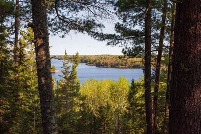 Photograph of lake in distance viewed through trees.