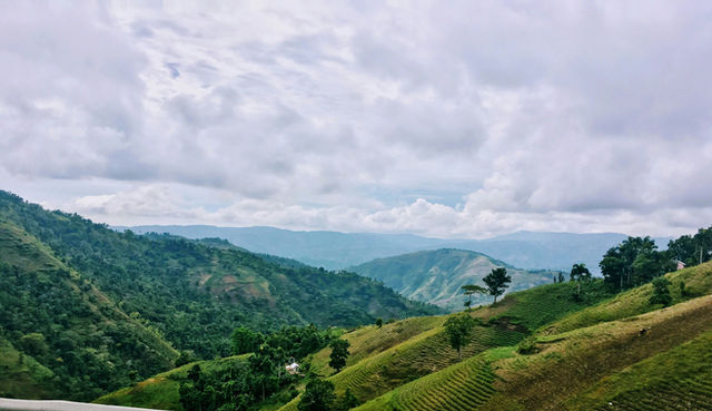 Jacmel is located on the southern portion of island of Haiti. This photo shows some of the coffee fields planted on the side of the mountains.