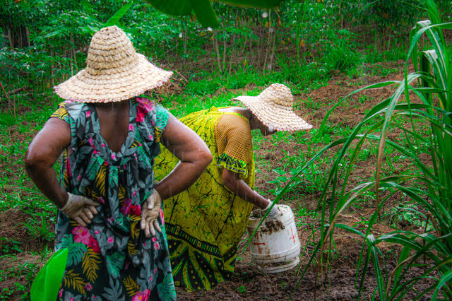 Deux femmes avec des chapeaux de paille dans un champ