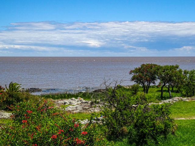 Beautiful coastal landscape with greenery and ocean in Colonia del Sacramento, Uruguay.