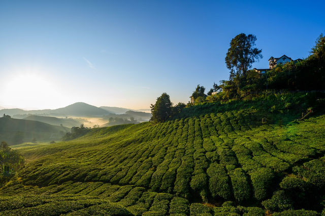 Malaysia