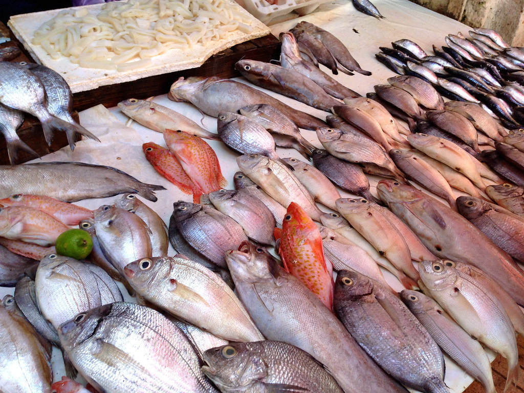 Essaouira — photo 11