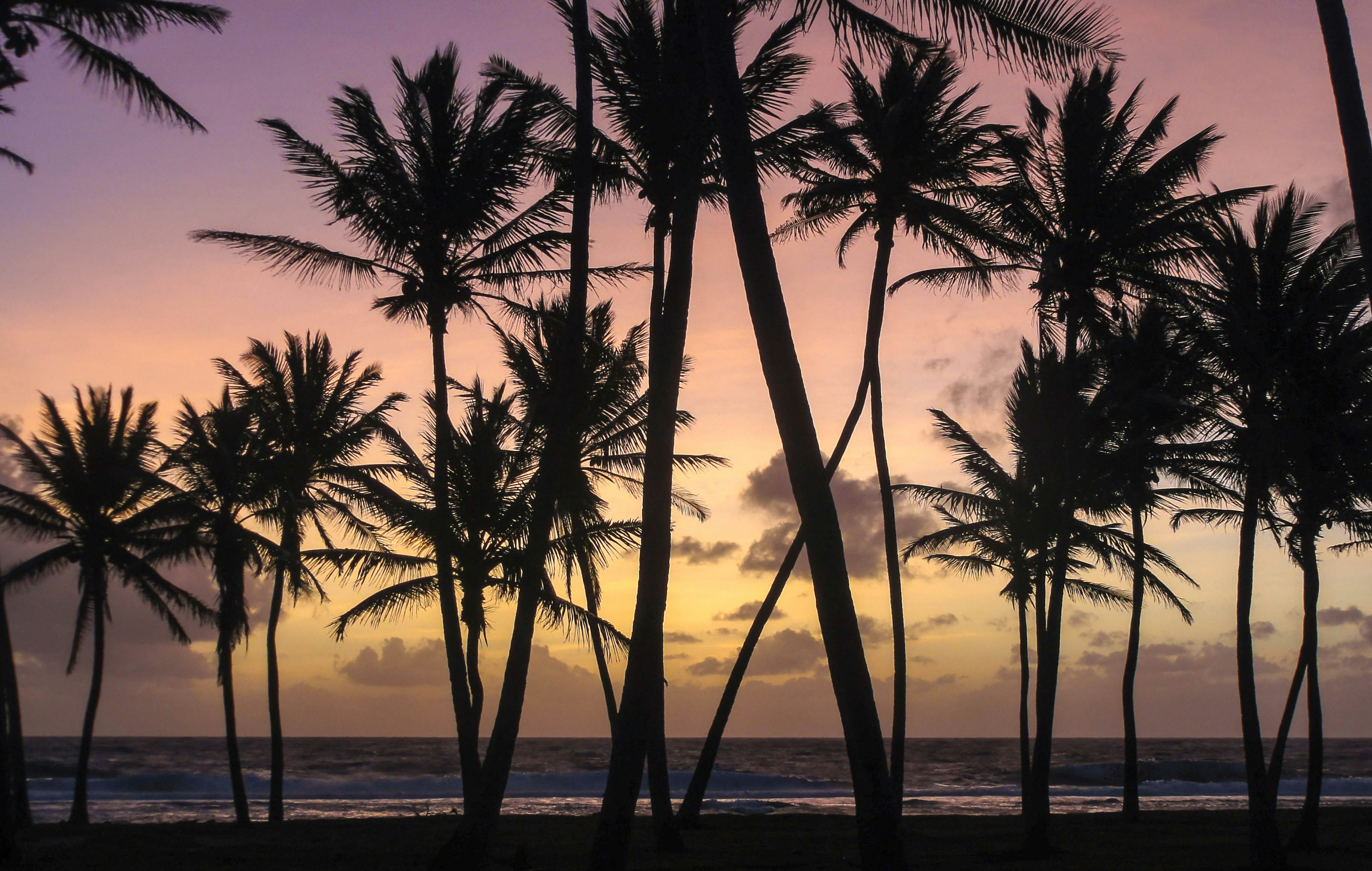 Marshall Islands — image 2