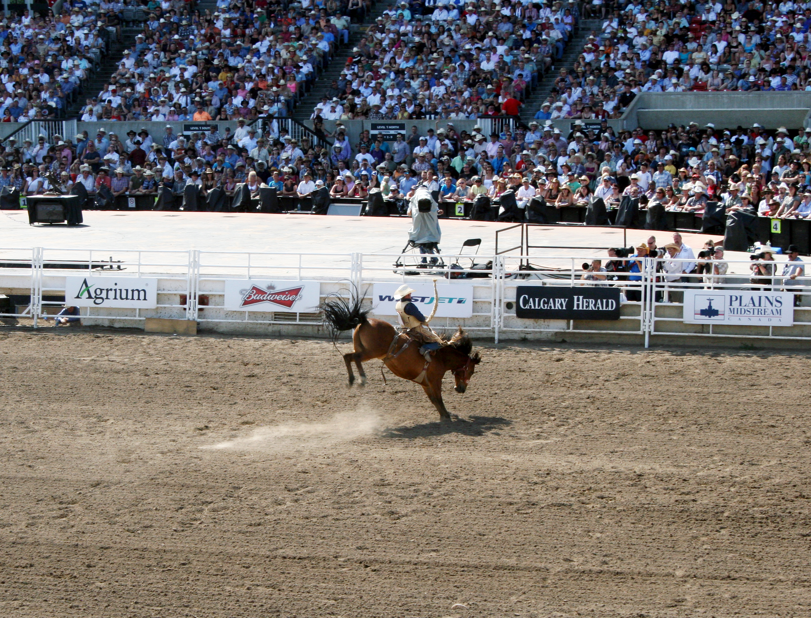 Rodeo at the Calgary Stampede
