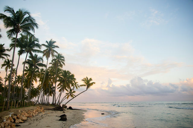 Shores of the Dominican Republic