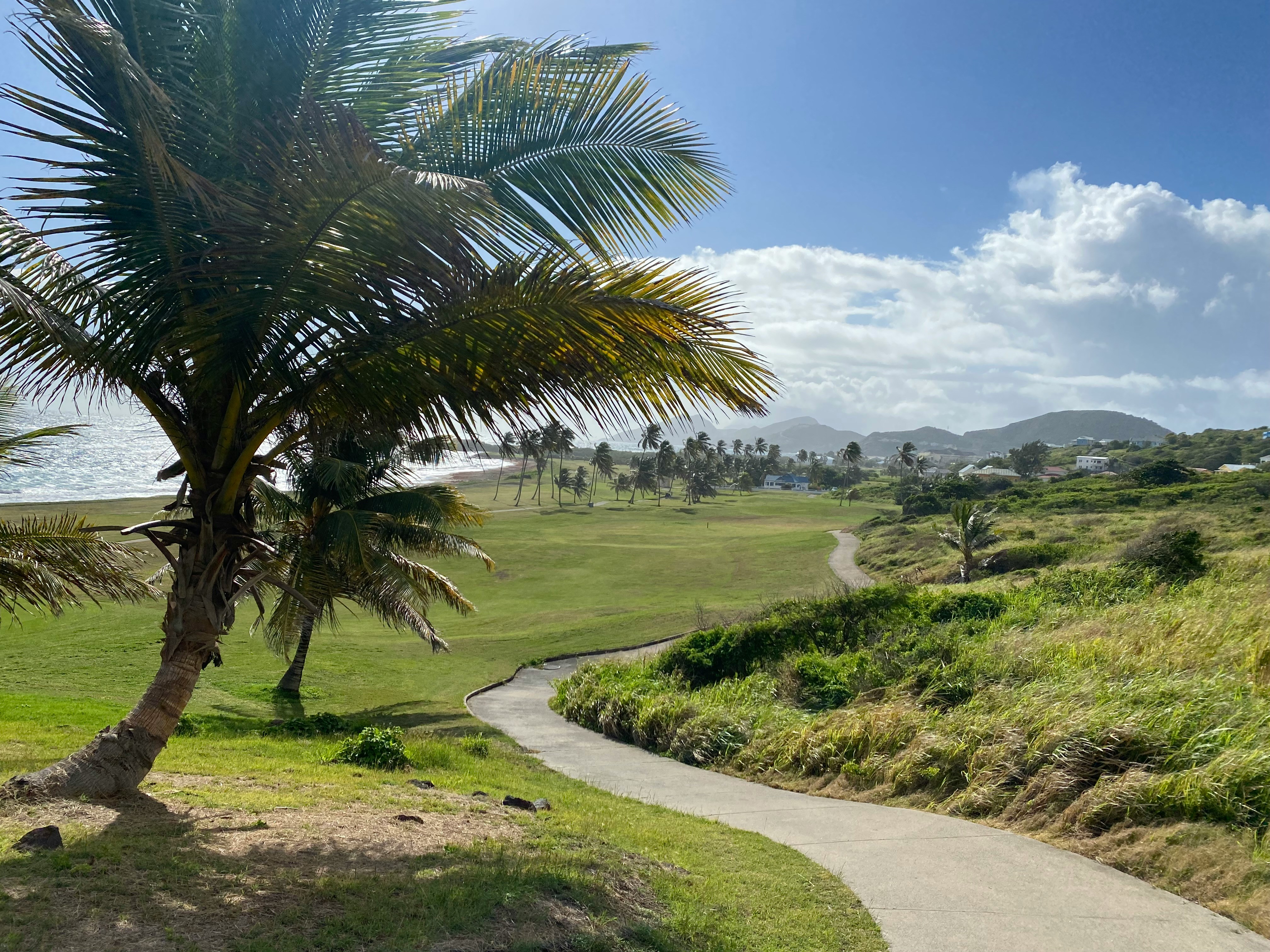 Saint Kitts and Nevis — image 3