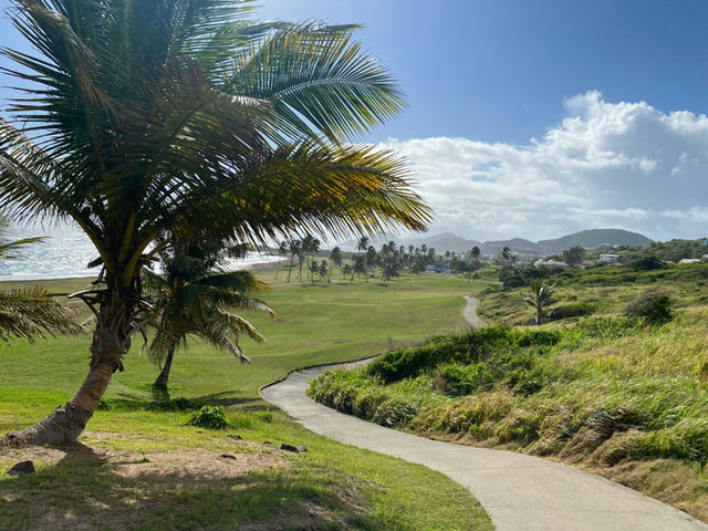 Path to Paradise