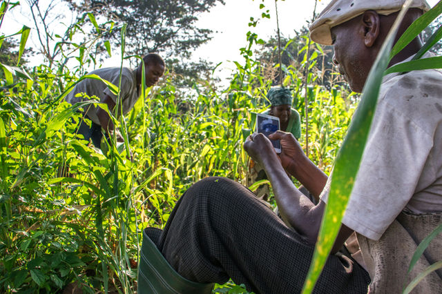 Mobile money to help farmers get their Subsidy.
Le mobile money aide les agriculteurs à avoir accès à leur subventions dans le programme AgriPME du ministère de l'agriculture.