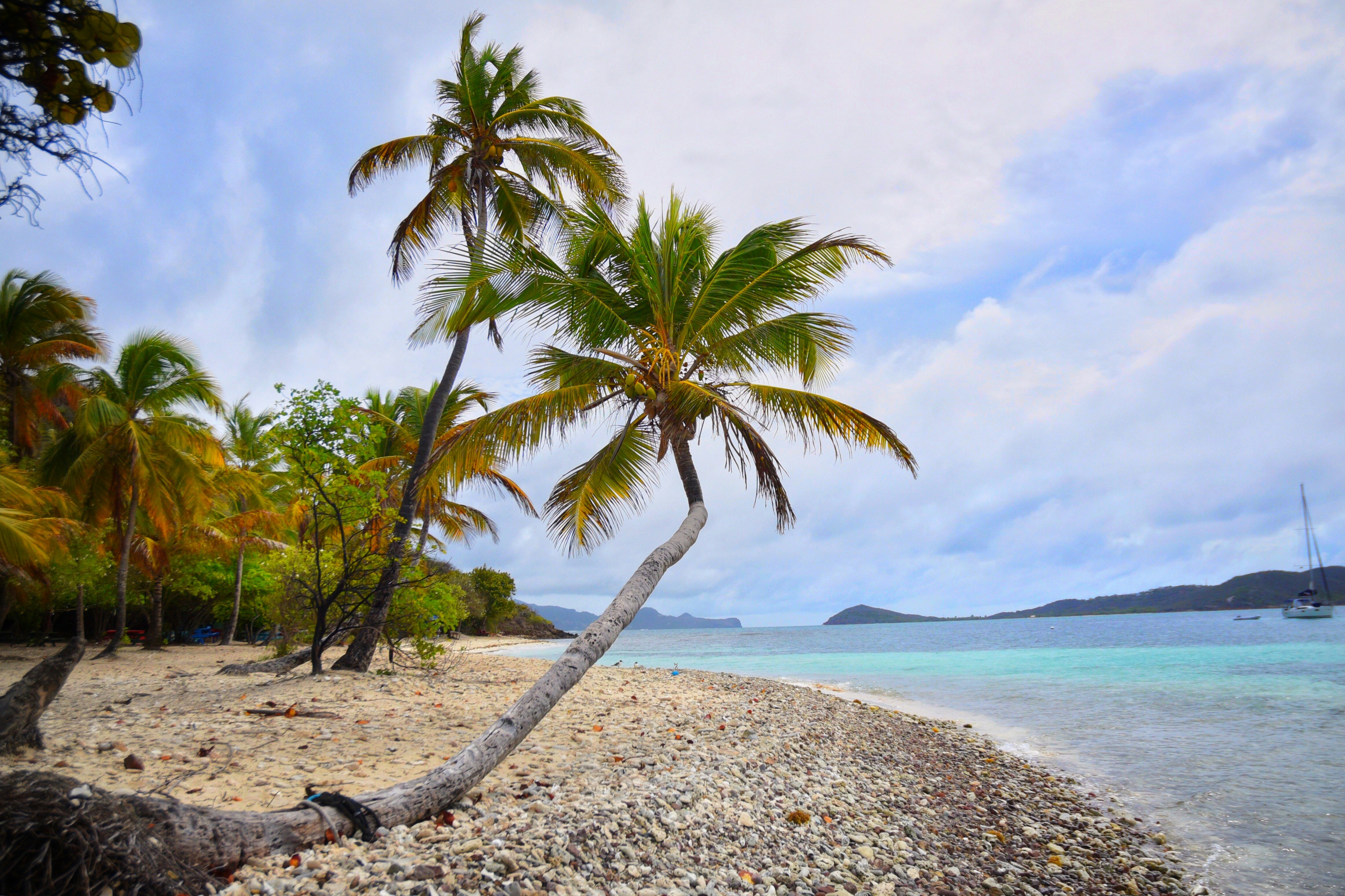 Saint Vincent and the Grenadines — image 1