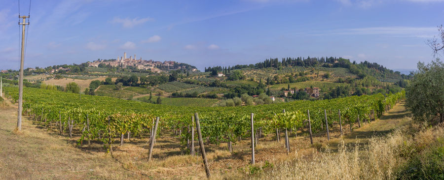 San Gimignano, Italy