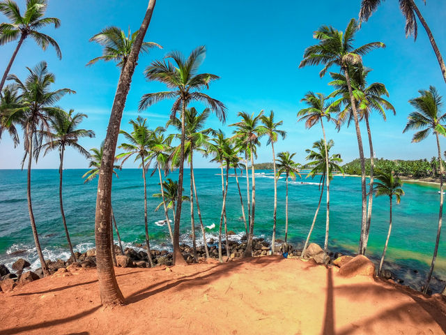 View from the top of Coconut Tree Hill in Mirissa