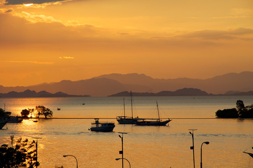 Komodo — photo 14