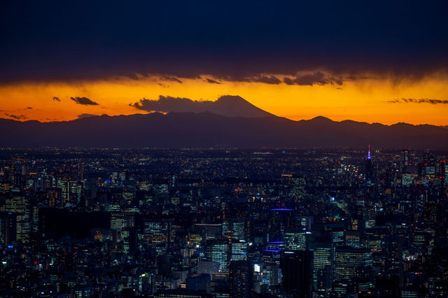 Crowds crossing the famous Shibuya scramble crossing beneath neon billboards in Tokyo at dusk