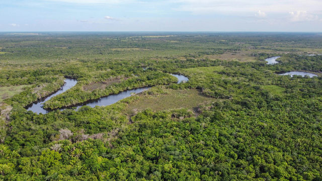 New River Aerial View in Guinea Grass