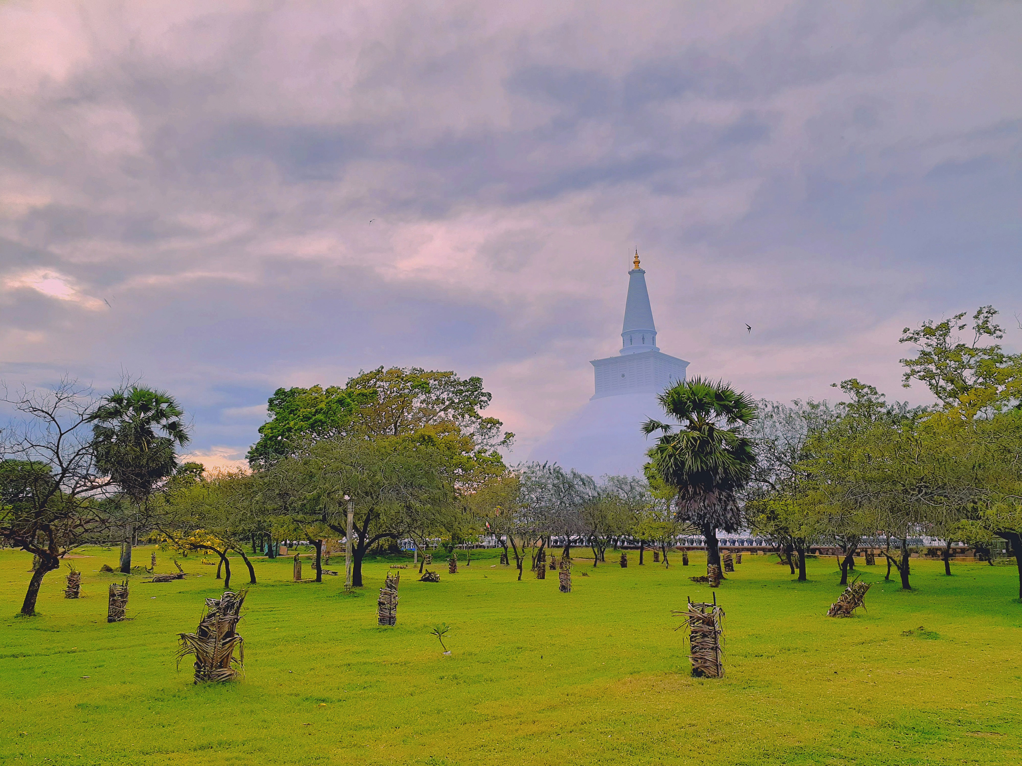 Sri Lanka — image 5