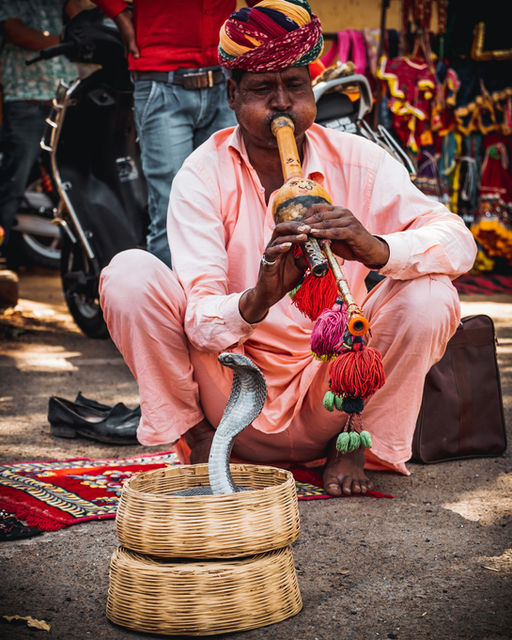 A snake charmer with his been
