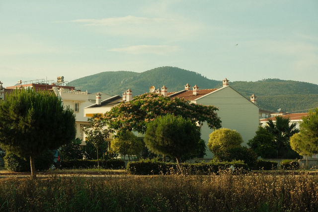 Quaint suburban view in Edremit, Turkey with lush trees and mountain backdrop.