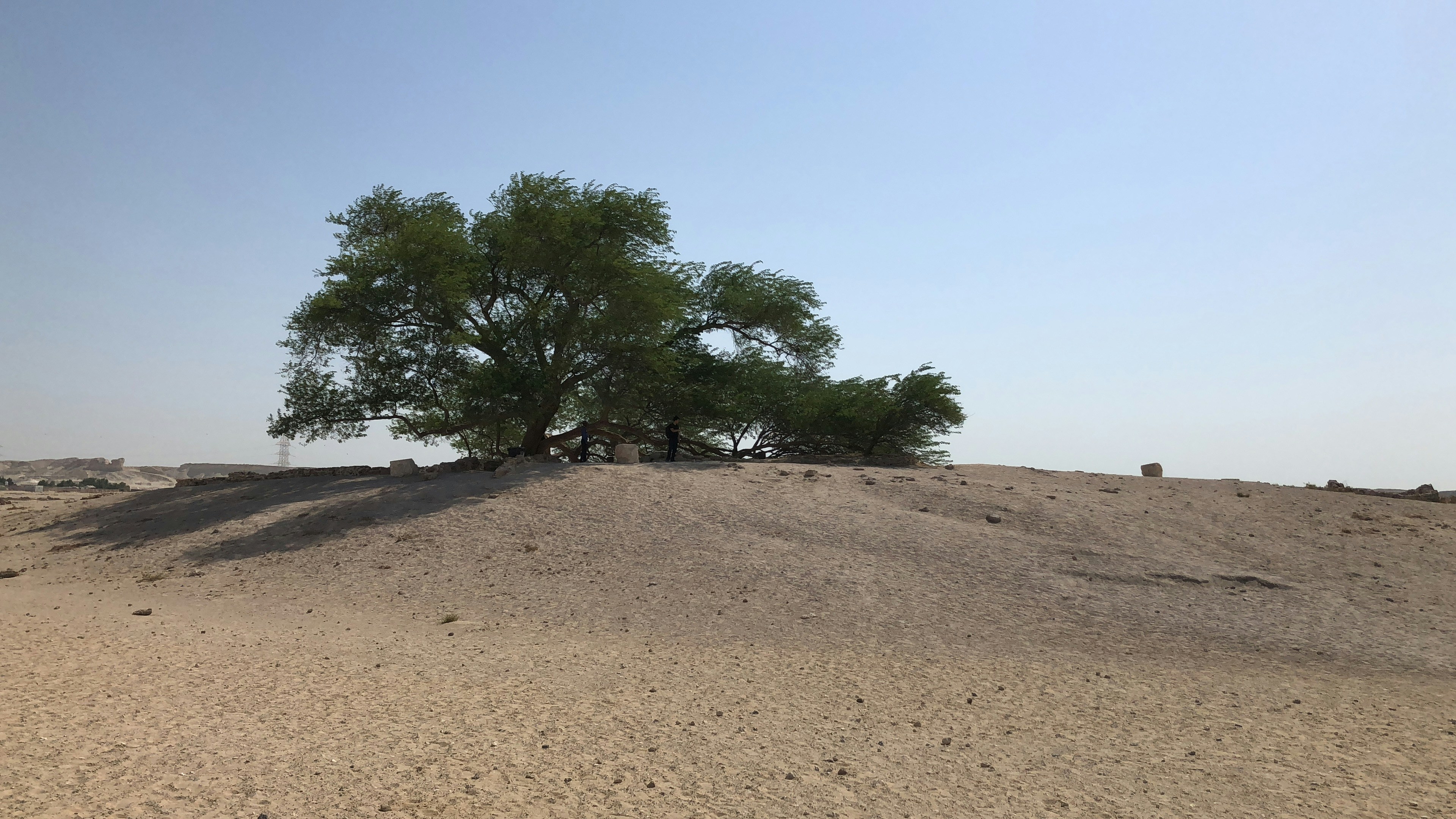 Bahrain — image 2