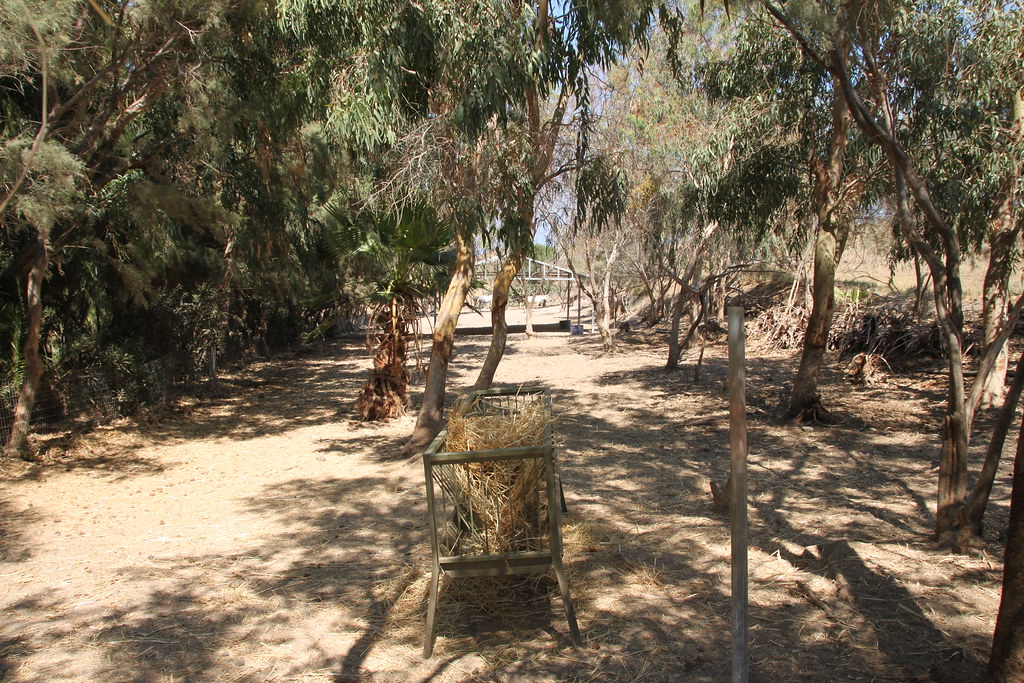 Santorini — photo 17
