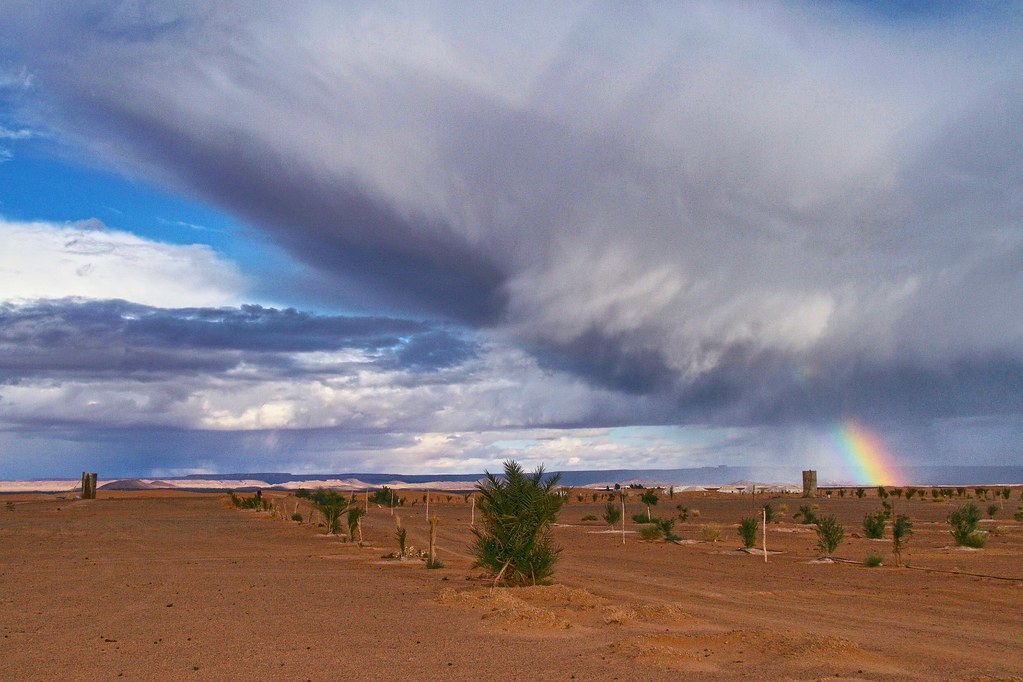 Sahara Desert — photo 16