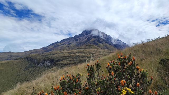 Cotacachi Volcano surrounded by wild flora on a bright day in Ecuador.