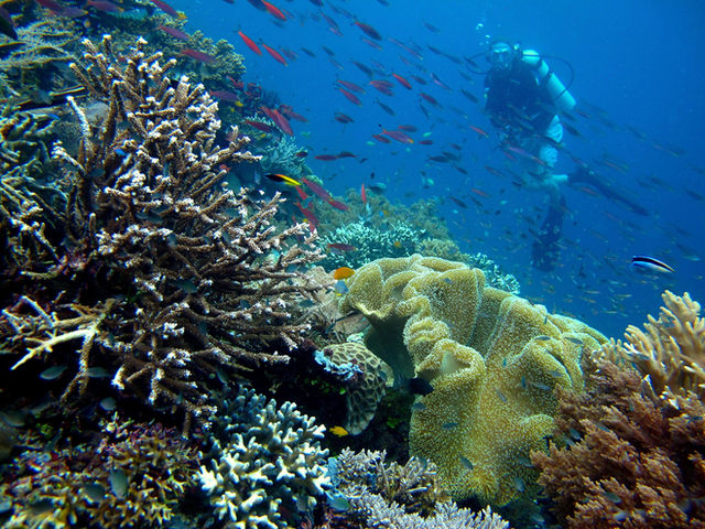 Raja Ampat, Indonesia