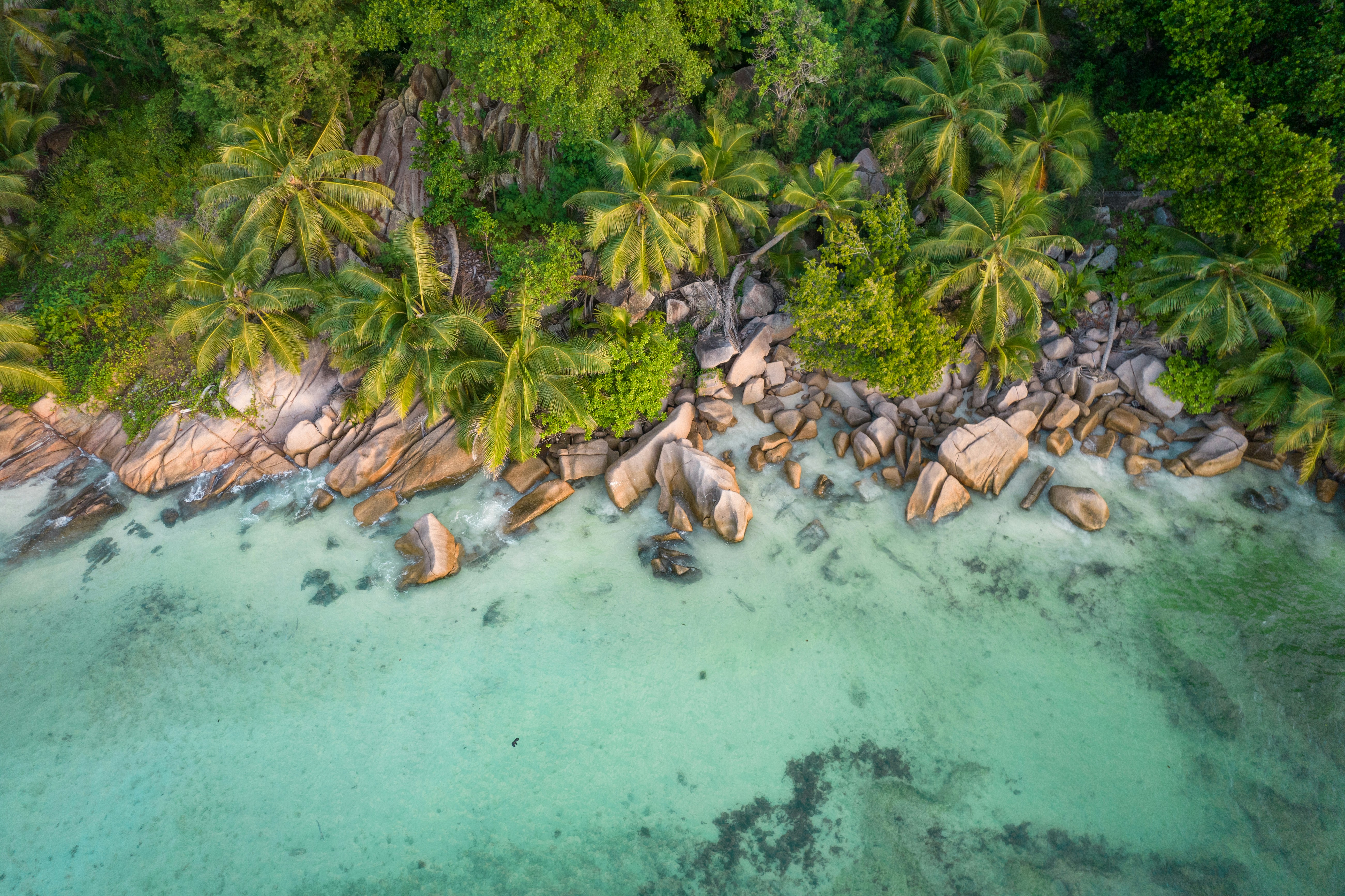 Seychelles — image 5