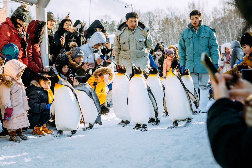 Hokkaido — photo 14