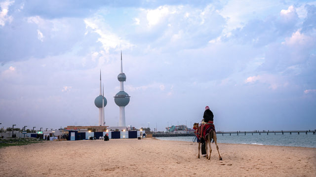 A person on a camel on a sandy beach.