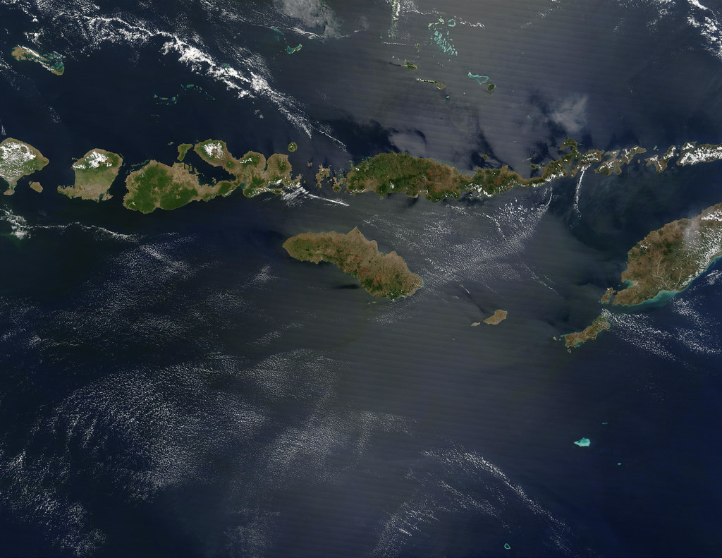Komodo — photo 6