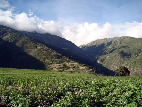 Nepal