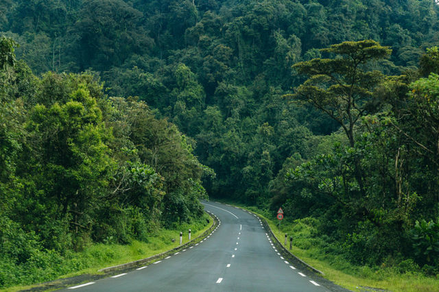 Nyungwe park