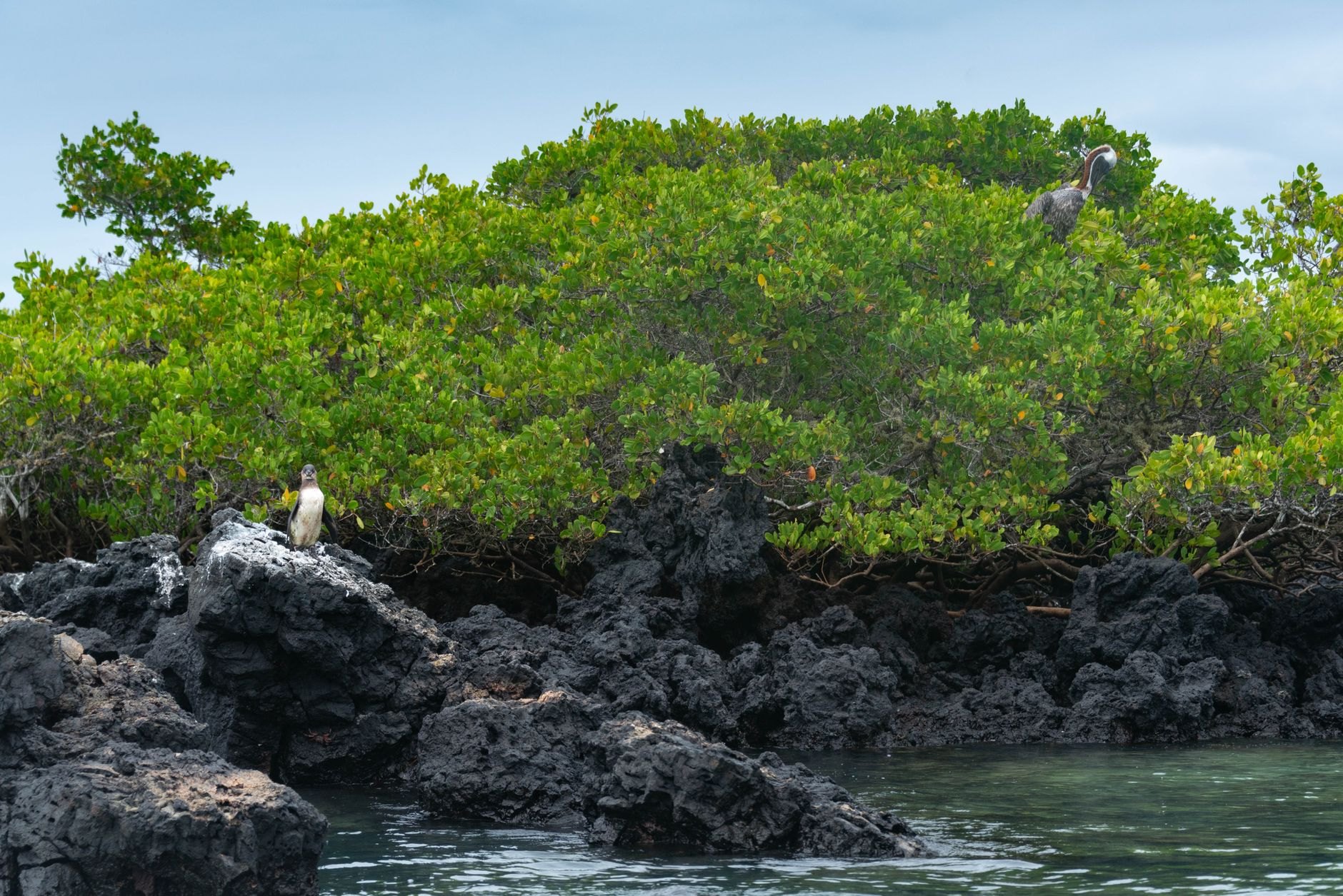 Galápagos Islands, Ecuador